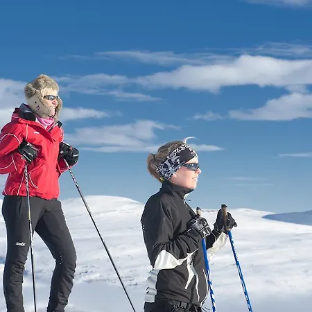 Spidsbergseter Hytter Og Fjellsuiter *