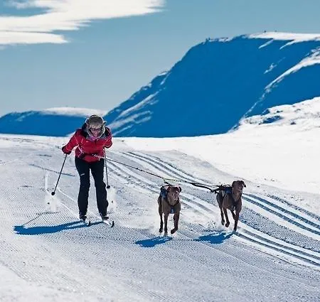 Spidsbergseter Hytter Og Fjellsuiter Venabygd